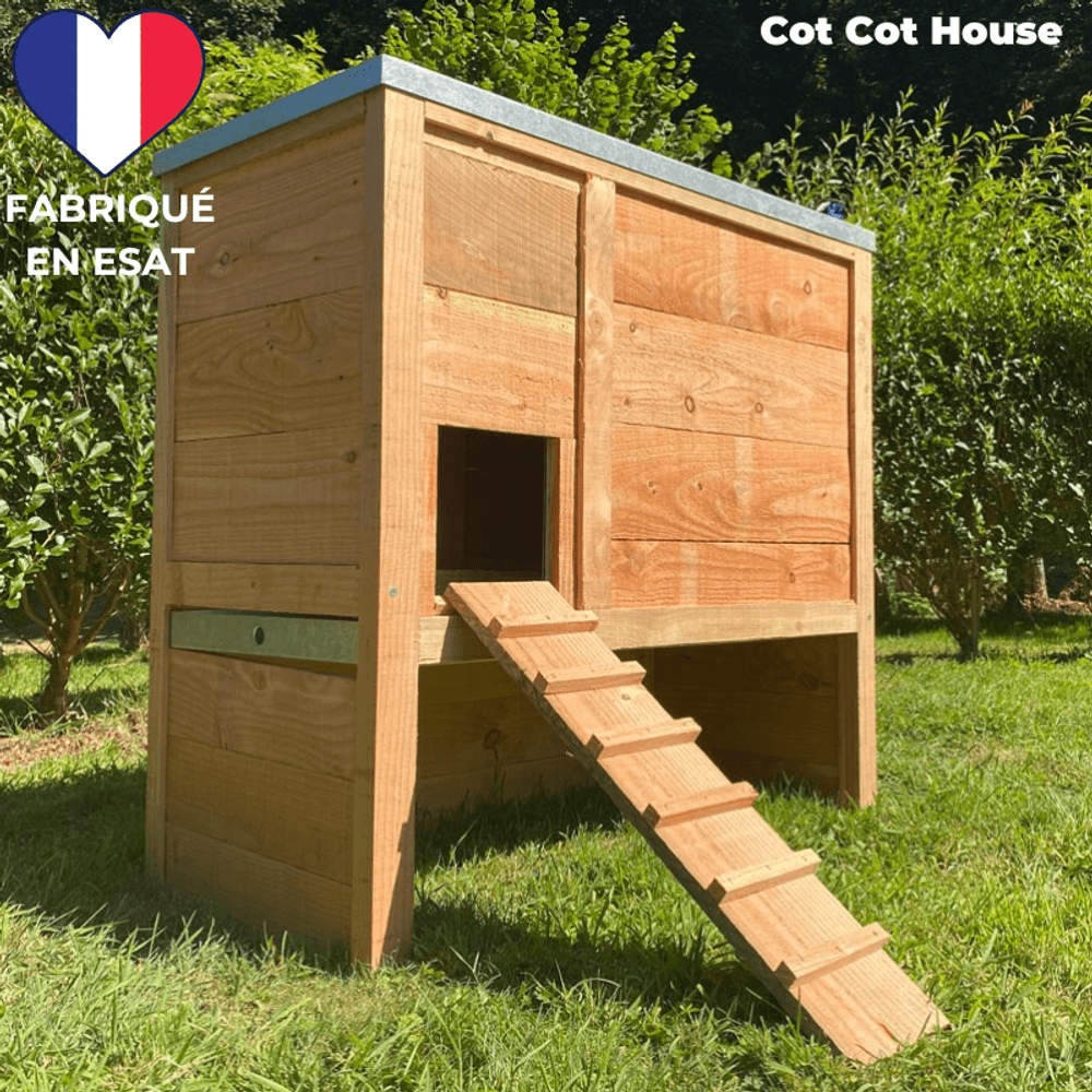 Poulailler 2 poules pratique et solide - modèle sebright