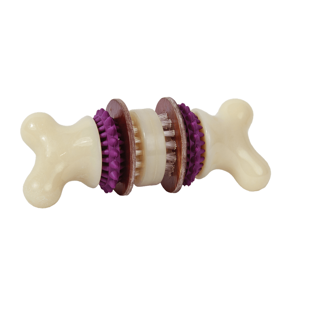 Jouet bristle bone s