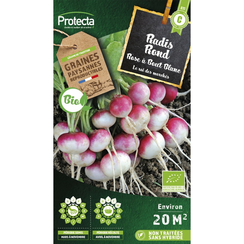 Graines paysannes - radis rond rose à bout blanc bio