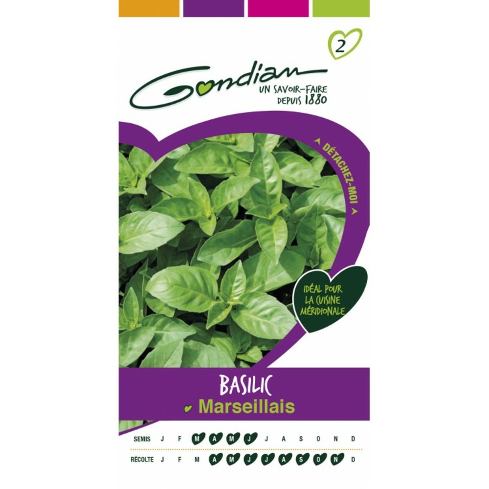 Basilic marseillais
