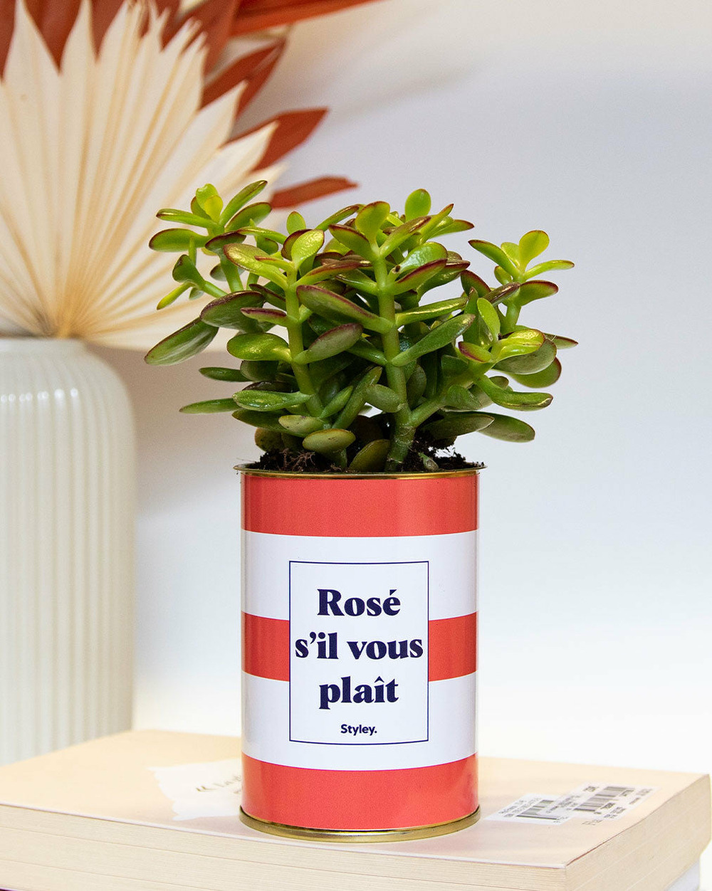 Plante personnalisée - rosé s'il vous plait - cactus