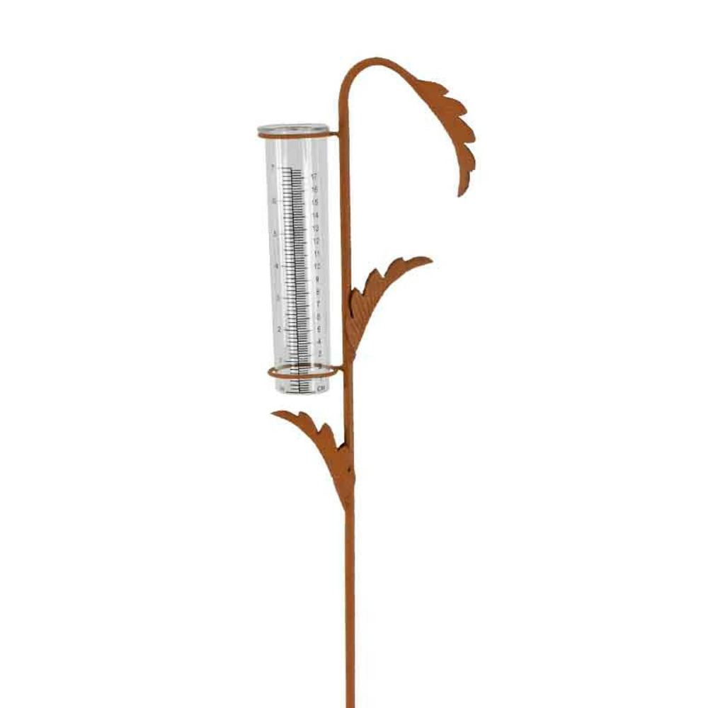 Pluviomètre jardin plante 17x6x100cm