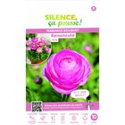 Bulbe de renoncule rose/ranunculus rose[-]sachet de 10 bulbes