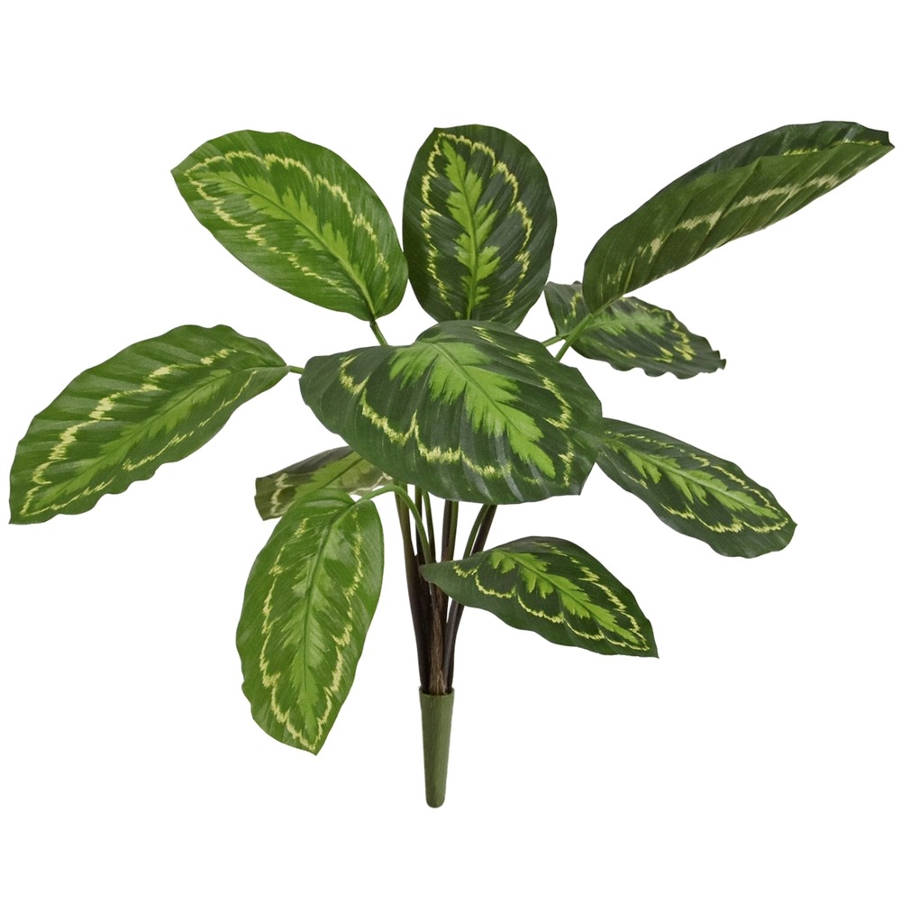 Calathea roseopicta plante artificielle 50cm