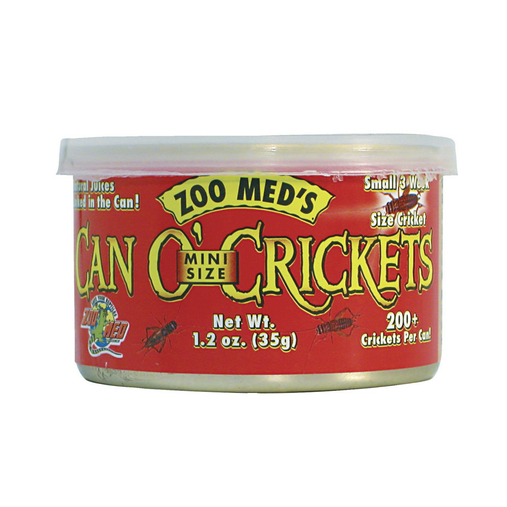 Grillons de taille mini 35g zm-43e pour reptiles, tortues, poissons