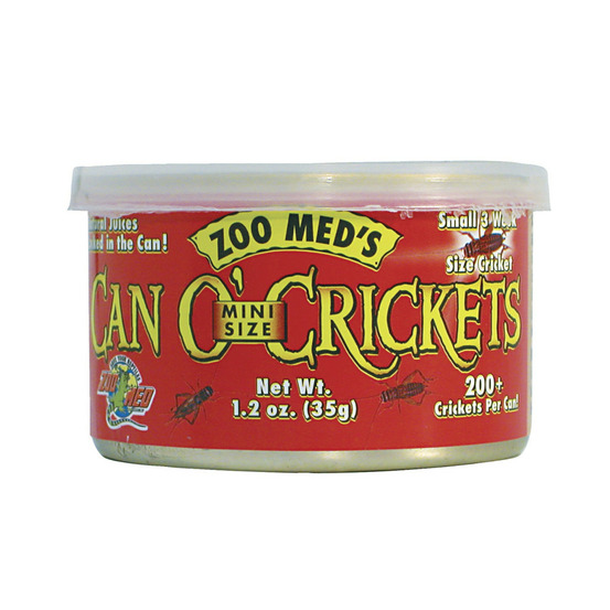 Grillons de taille mini 35g zm-43e pour reptiles, tortues, poissons