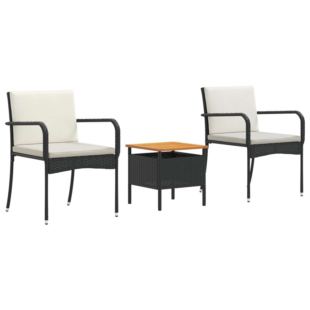 Ensemble de jardin noir polyrotin