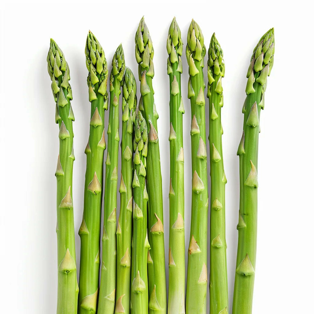 Spaanse knoflook - de Meisjes van de Moestuin Spaanse knoflook - de Meisjes van de Moestuin