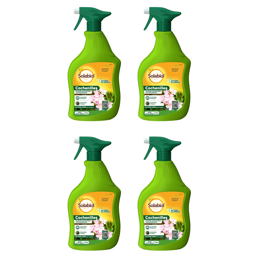 Solabiol lot de 4 sprays anti cochenilles - 4x750ml - élimine oeufs larves & adultes - action rapide & par contact socochpal750nx4