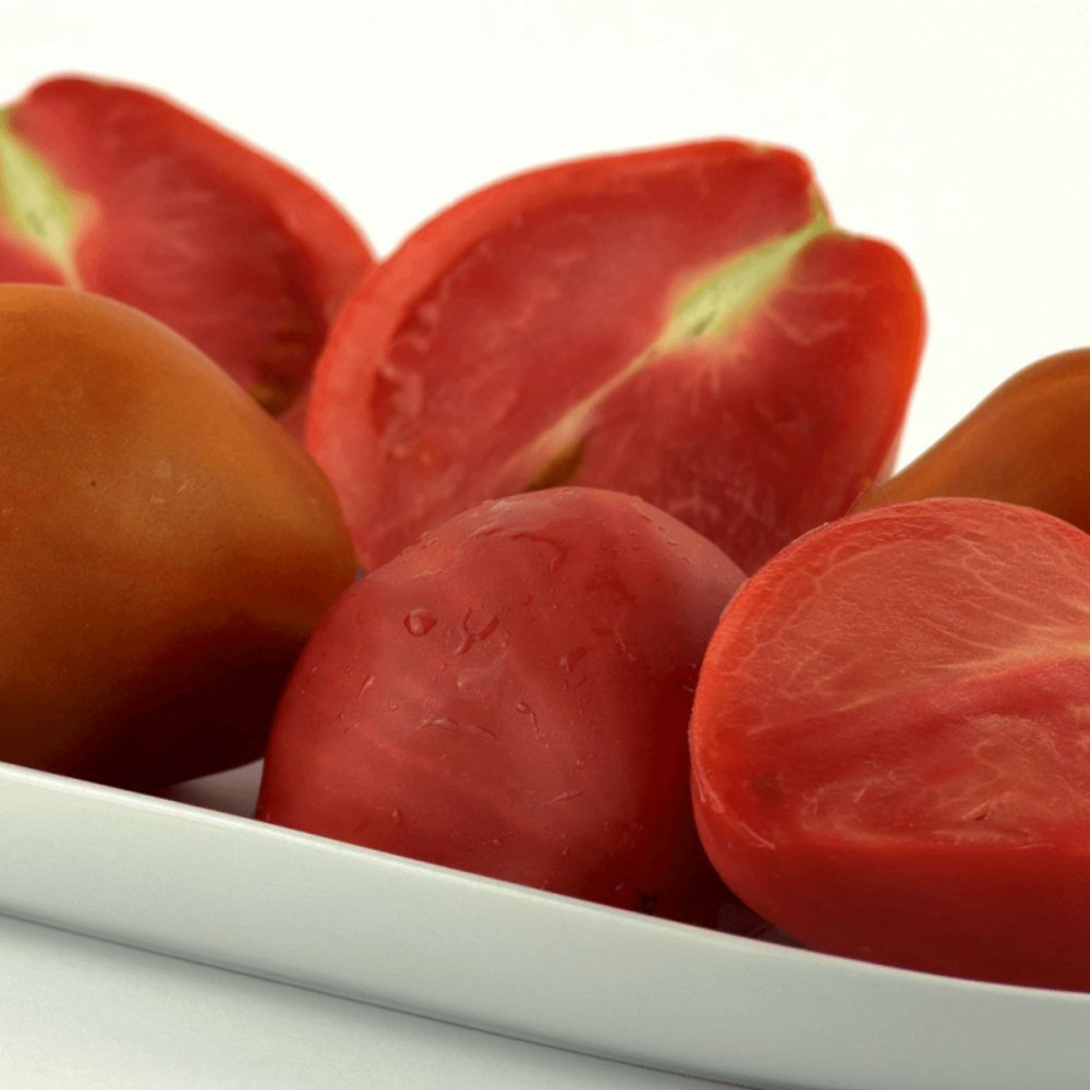 Plant de tomate dattochoco f1 type cerise godet