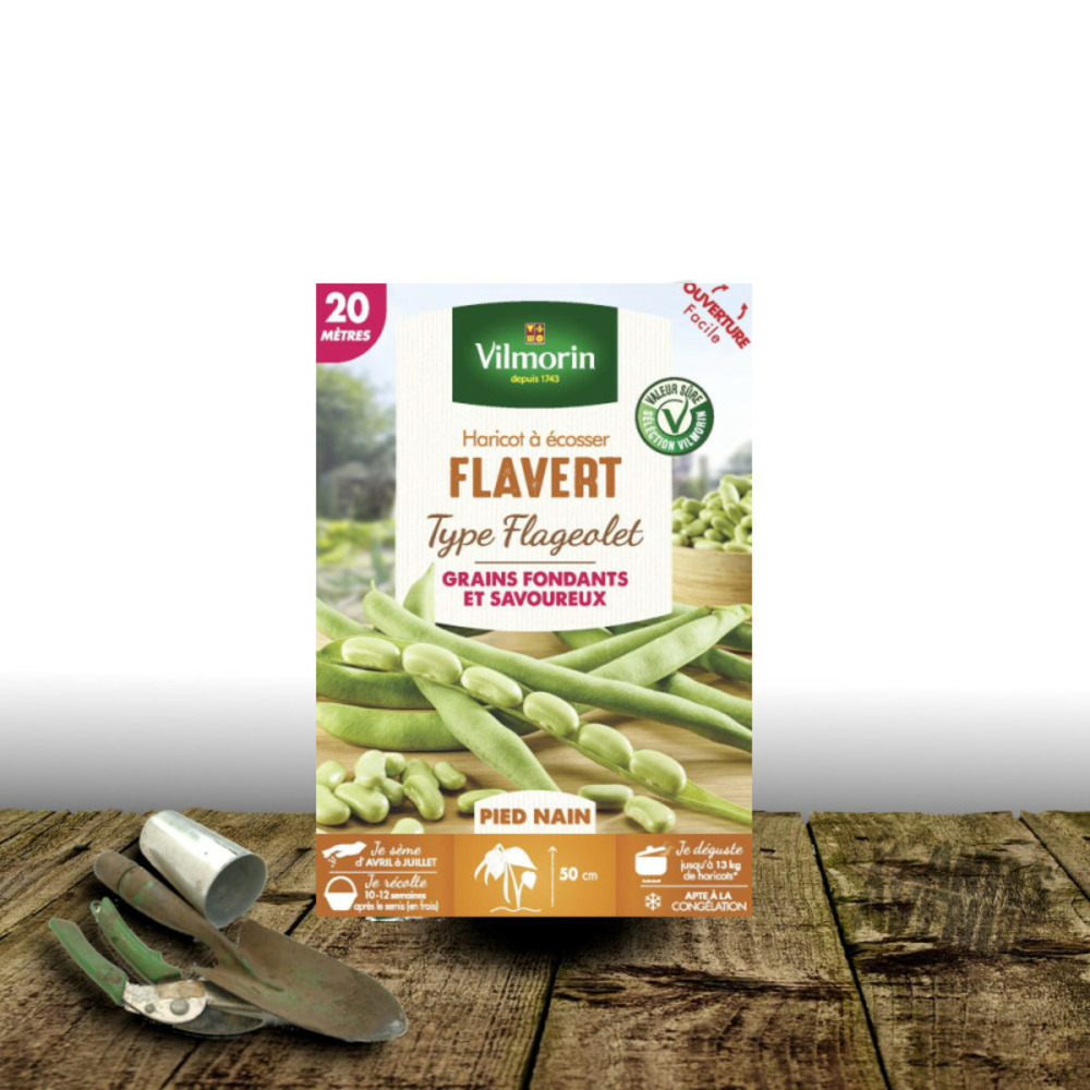Graines de haricot nain à écosser flavert - vilmorin boite - 20 mètres