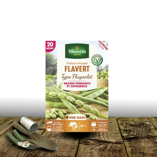 Graines de haricot nain à écosser flavert - vilmorin boite - 20 mètres