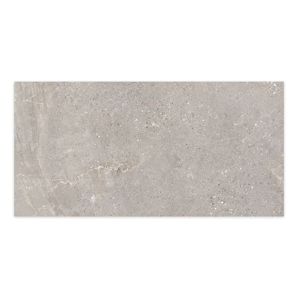 Carrelage effet pierre gris silver 100x50x2 cm torvane - sol extérieur (vendu par carton de 0,5 m²) - ro'ma carrelage