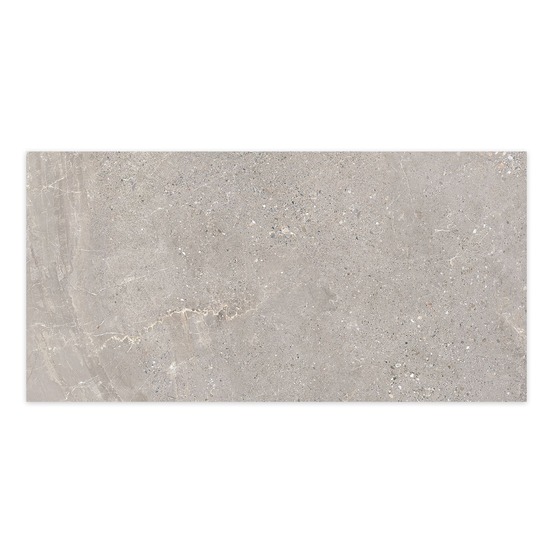 Carrelage effet pierre gris silver 100x50x2 cm torvane - sol extérieur (vendu par carton de 0,5 m²) - ro'ma carrelage