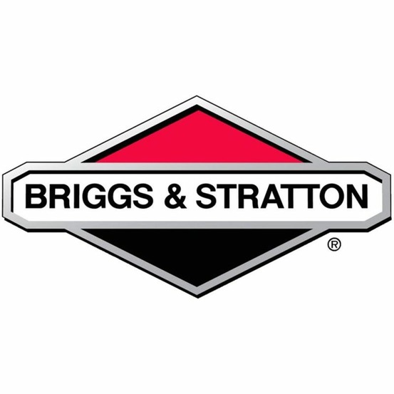 Pointeau briggs and stratton - 231855s