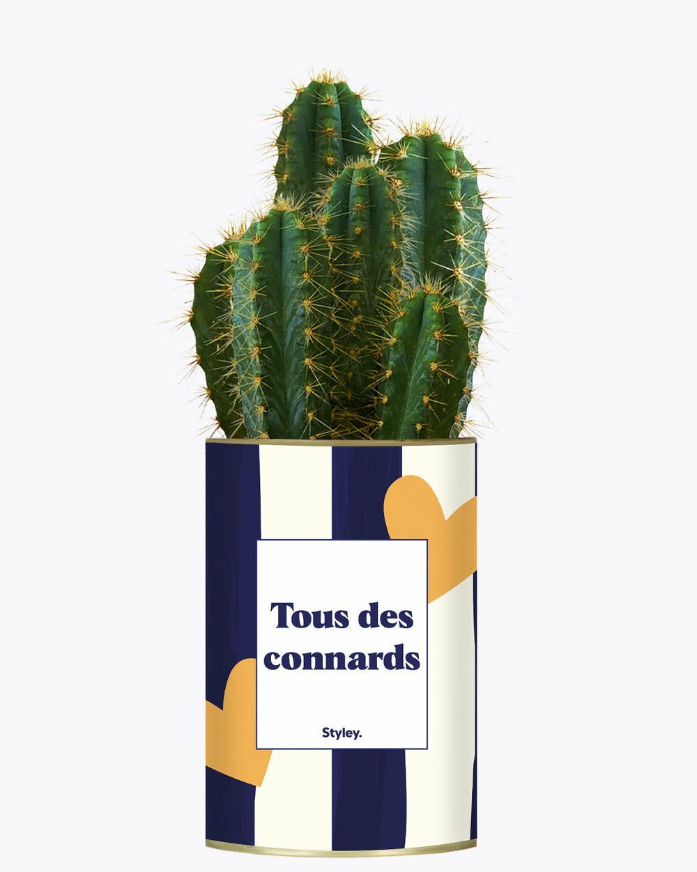 Idée cadeau - tous des connards - cactus