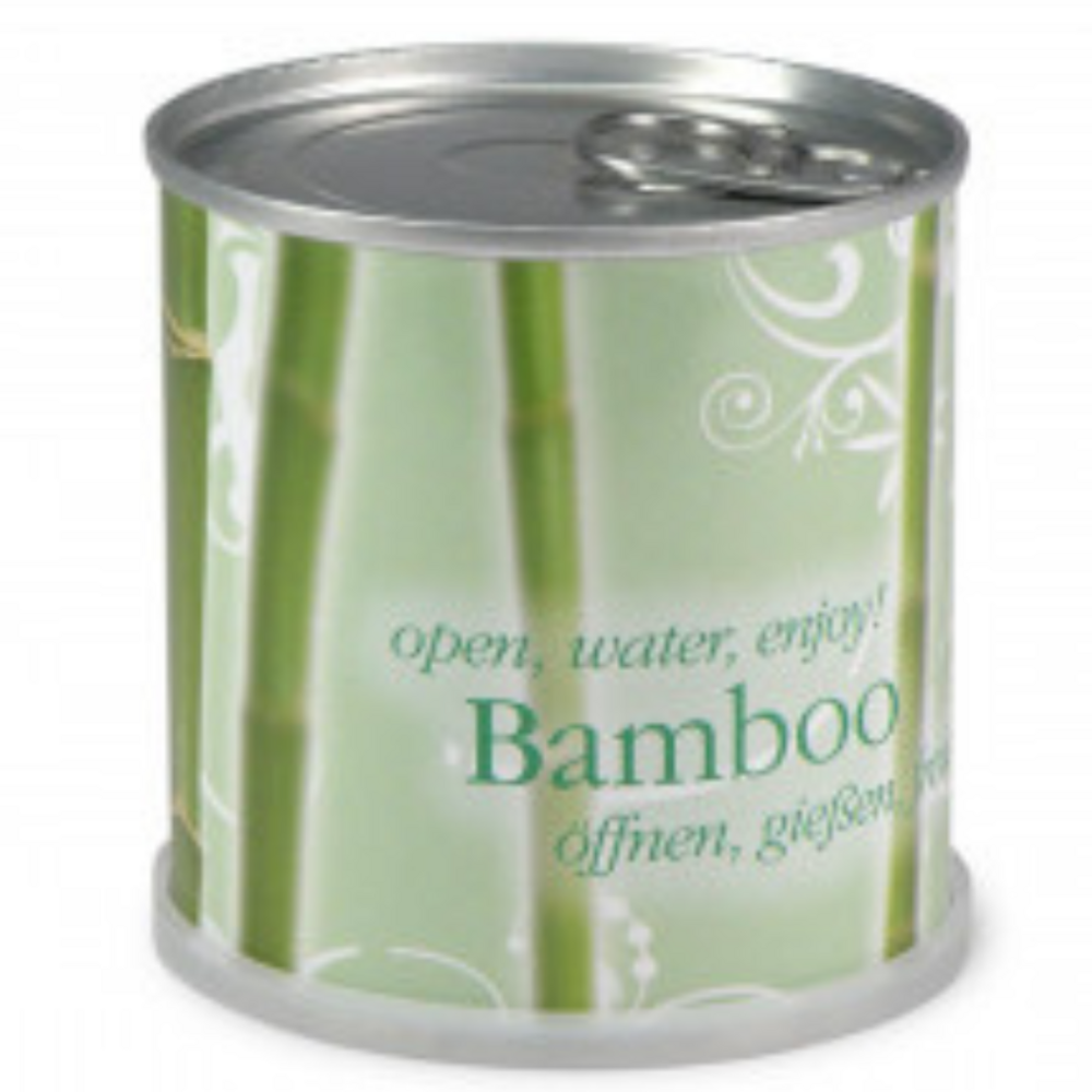 Bambou prêt à pousser en canette