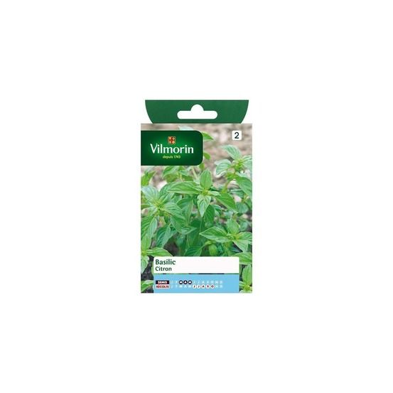 Sachet graines basilic citron