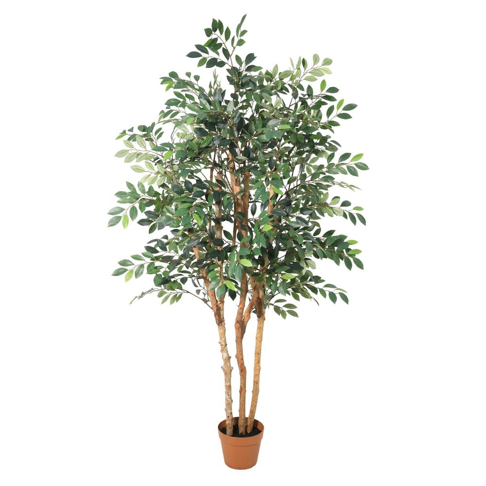 Ficus exotica - 150cm - ø23cm - plante artificielle