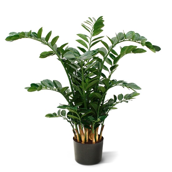 Zamioculcas plante artificielle xl 120 cm