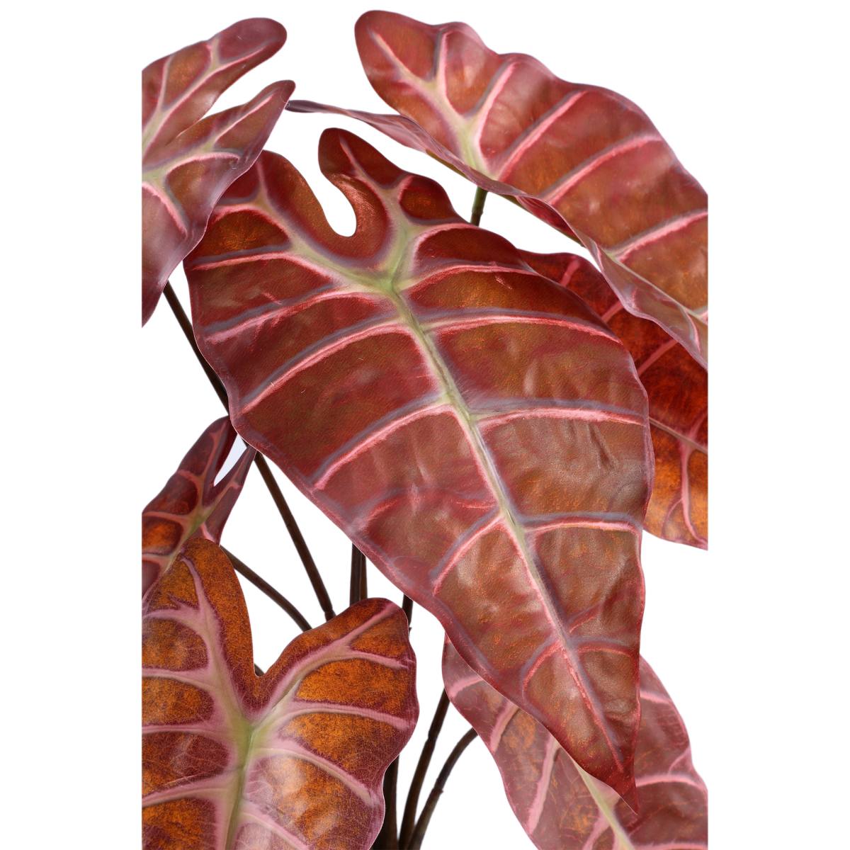 Ptmd plante artificielle alocasia - 34x35x38 cm - plastique - marron