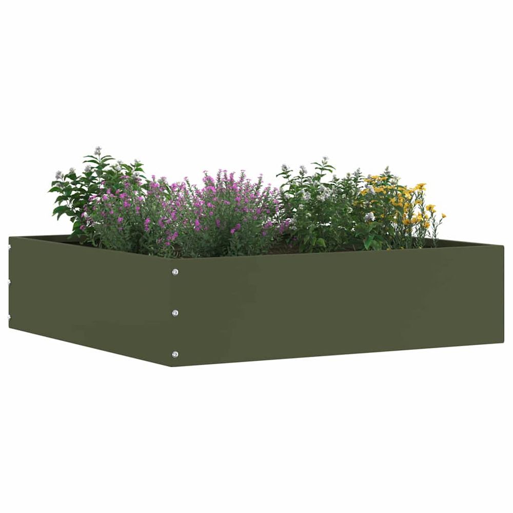 Bordure de pelouse 6 pc 50 x 50 x 13 cm acier vert olive