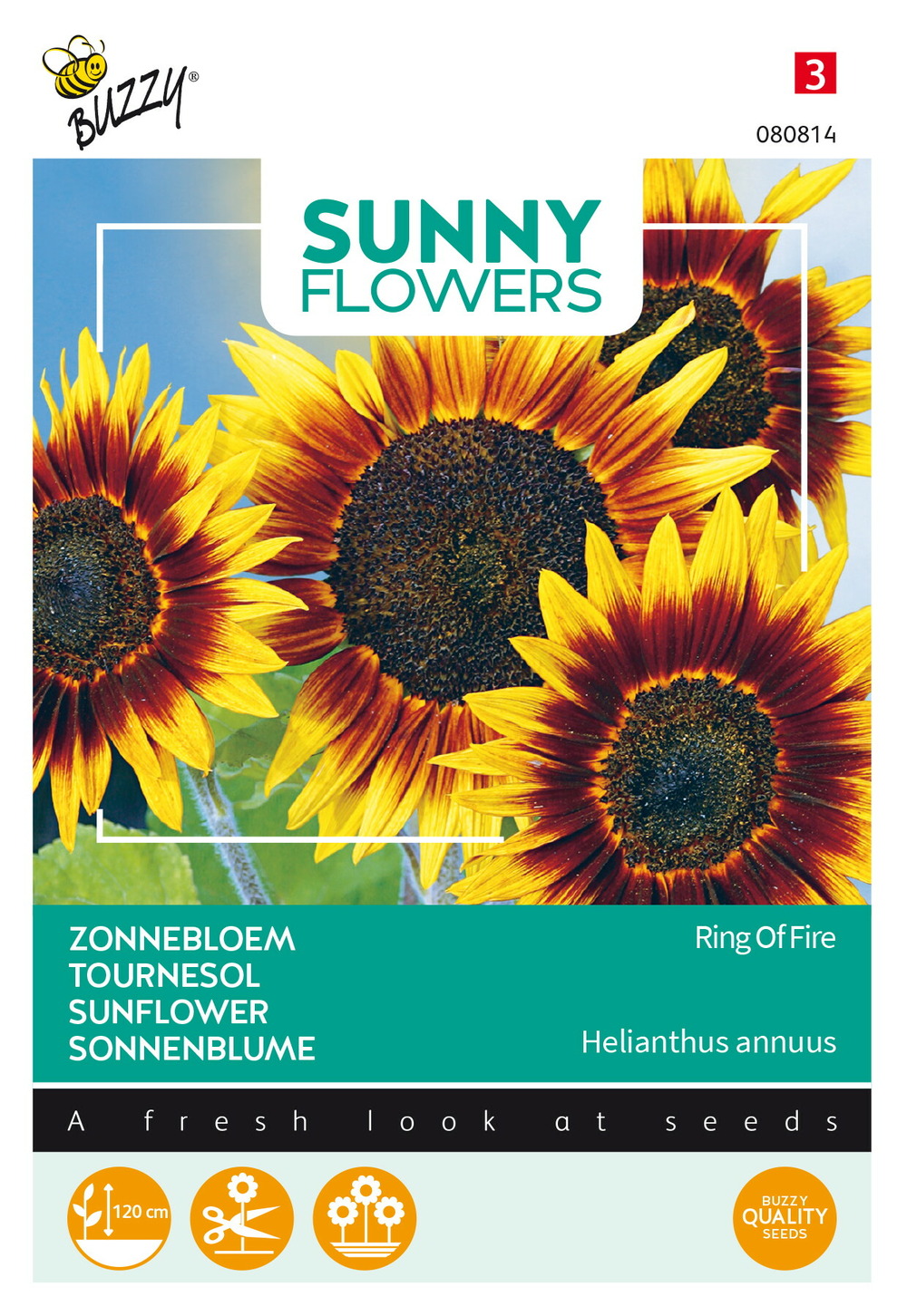 Buzzy sunny flowers, tournesol ring of fire - ca. 0,75 gr (livraison gratuite)