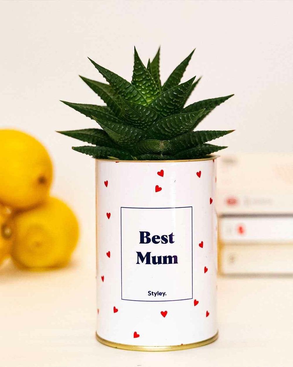 Idée cadeau - best mum - cactus