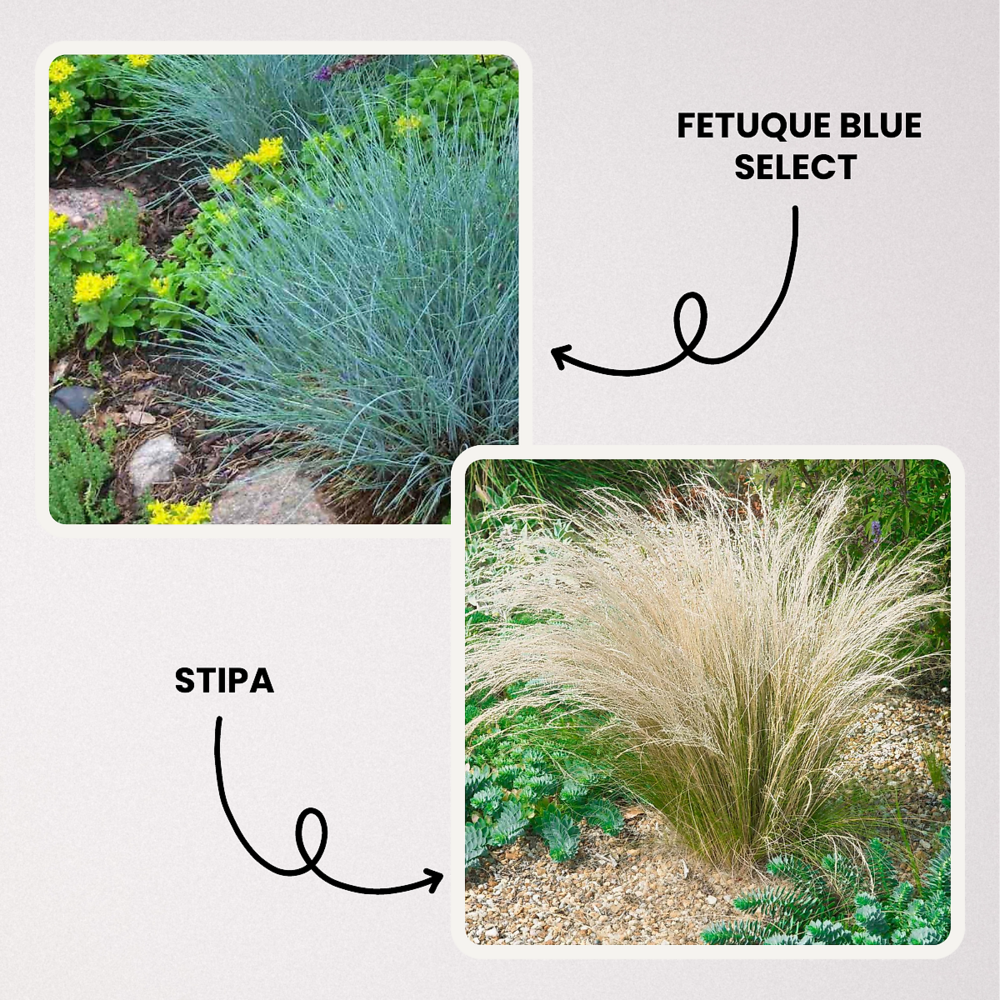 Offre speciale graminees - 6 godets