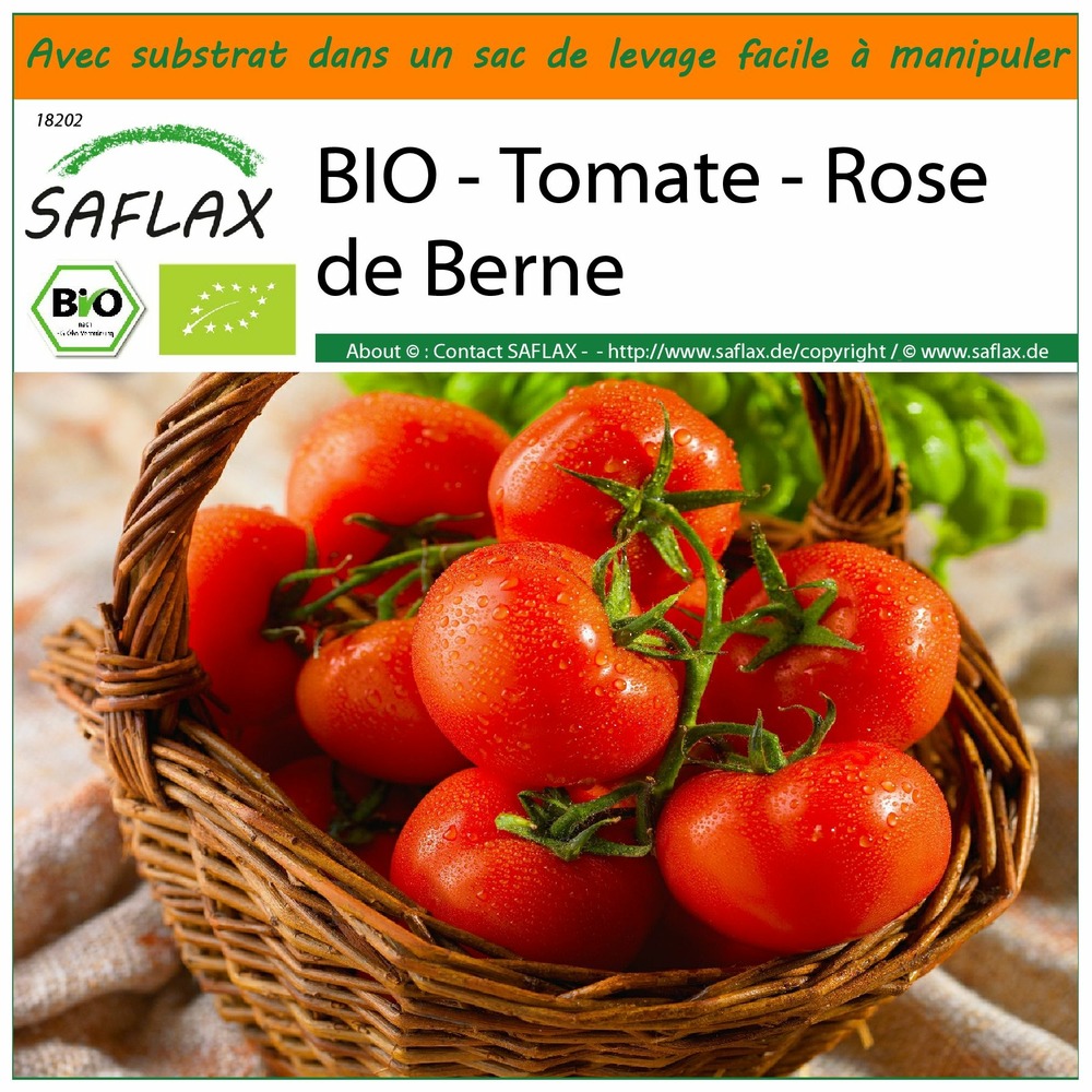 Garden in the bag - bio - tomate - rose de berne - 10 graines - solanum lycopersicum