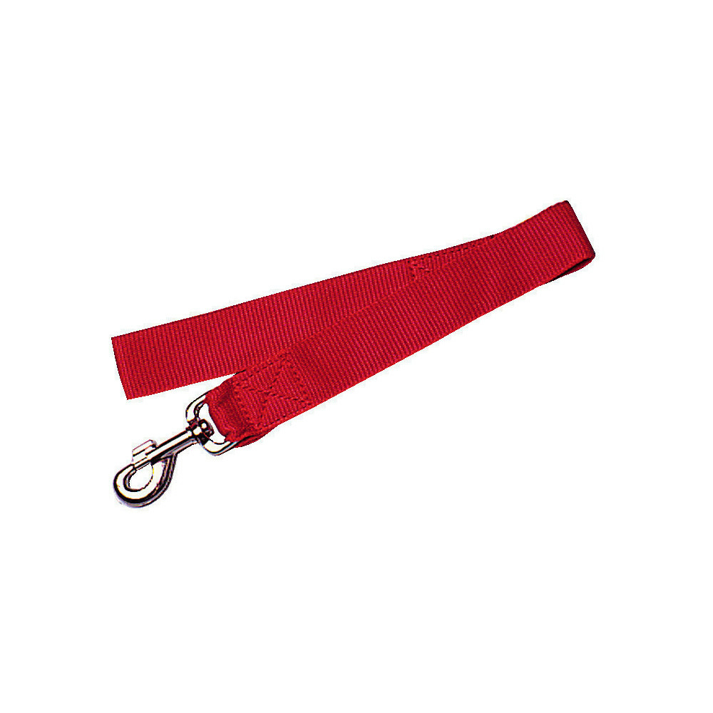 Laisse nylon xl 60 cm rouge pour chien