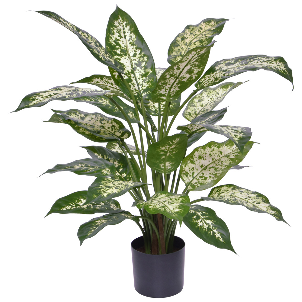 Plante artificielle dieffenbachia deluxe 60cm en pot