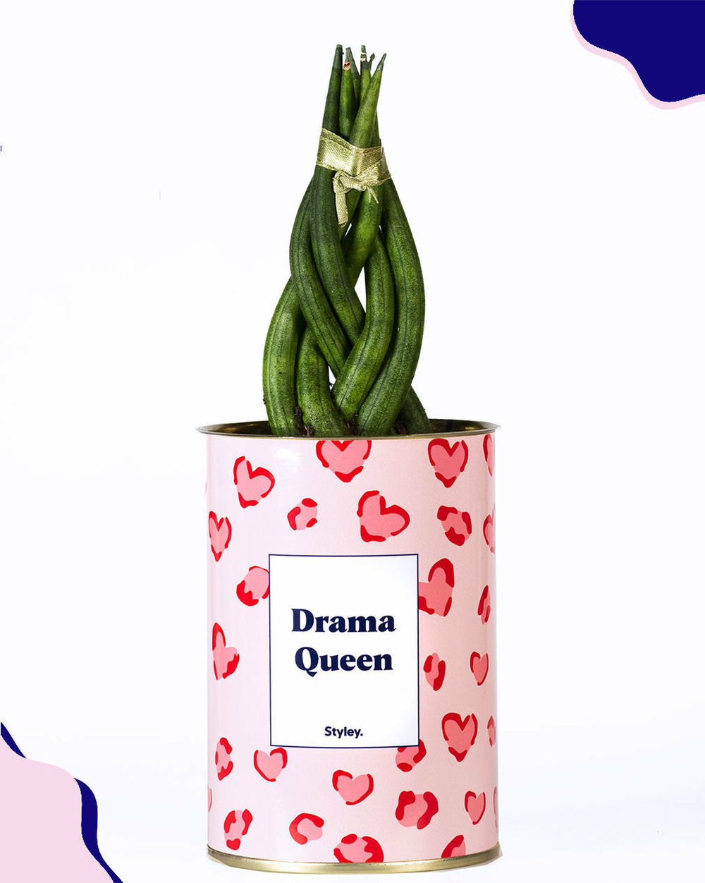 Idée cadeau - drama queen - cactus