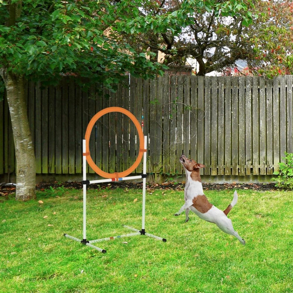 Haie agility chien pe 2-en-1 saut cerceau réglable transportable 91cm - comfortxl pet living