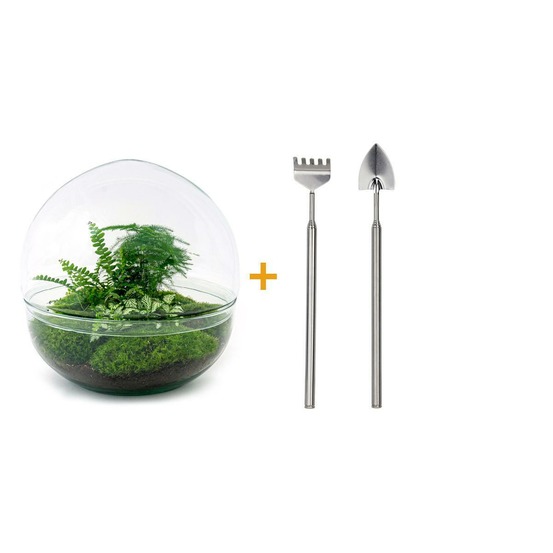 Diy terrarium - dome xl - h30 cm - ø30 cm