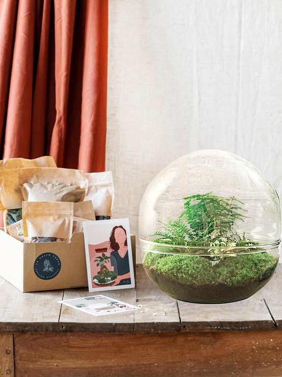 Kit terrarium diy - dome xl asparagus + lierre + fittonia - rateau + pelle + pince + ciseaux