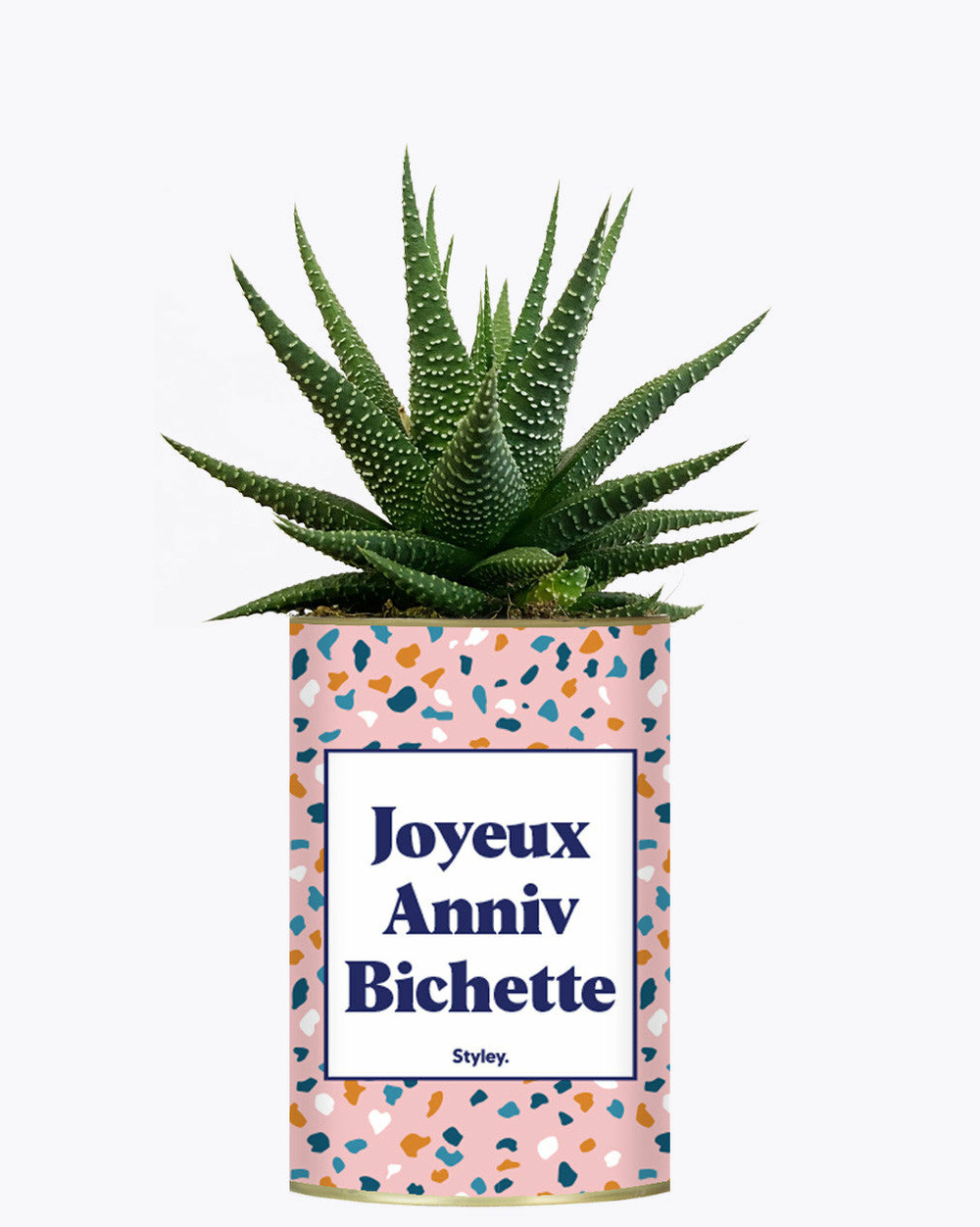 Plante drôle - joyeux anniv bichette - plante