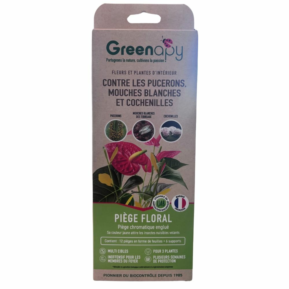 Piège englué floral anti insectes