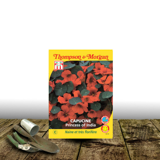 Graines de capucine princess of india - thompson & morgan sachet