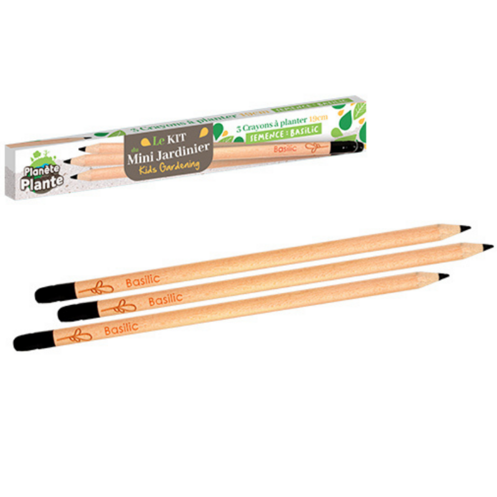 Lot 3 crayons aromatiques à planter enfant
