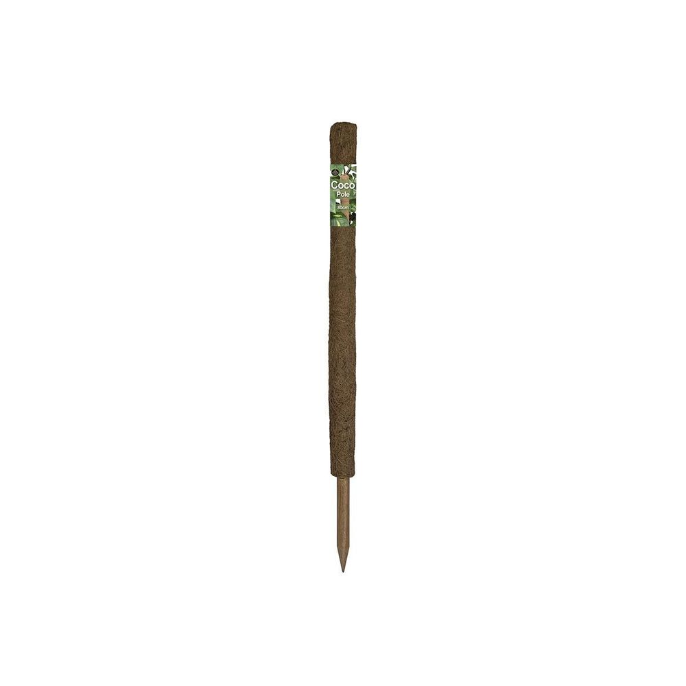 Support naturel - tuteur en coco - 60cm