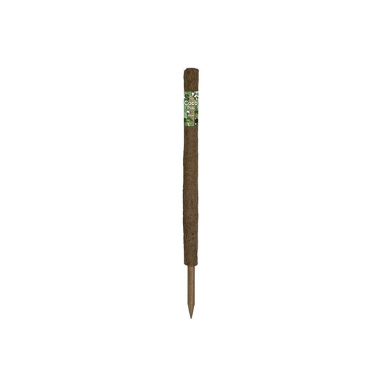 Support naturel - tuteur en coco - 60cm