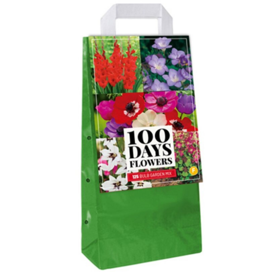 Mix 125 bulbes de fleurs à planter multicolore