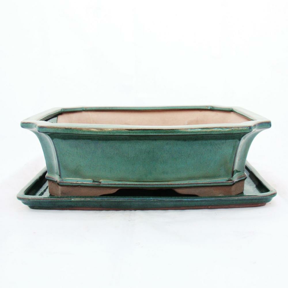 Bol bonsaï avec soucoupe taille 5 - vert - angulaire - modèle g4 - l 31cm - l 23cm - l 23cm - h 9,5 cm
