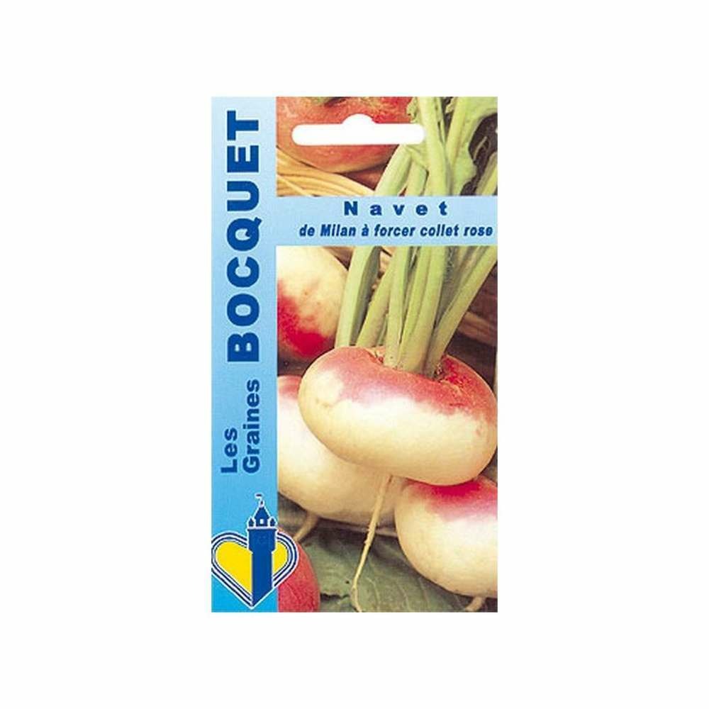 Navet de Milan Ã  forcer collet rose