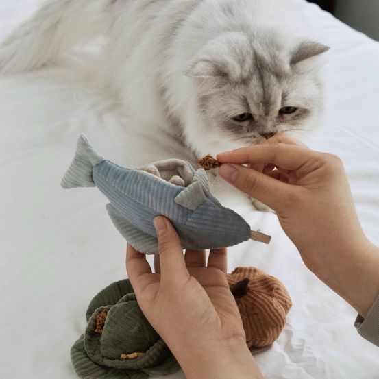 K trouut - jouet de fouille et d'enrichissement pour chat / petit chien, 17x7x1cm