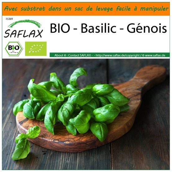 Garden in the bag - bio - basilic - génois - 800 graines - ocimum basilicum