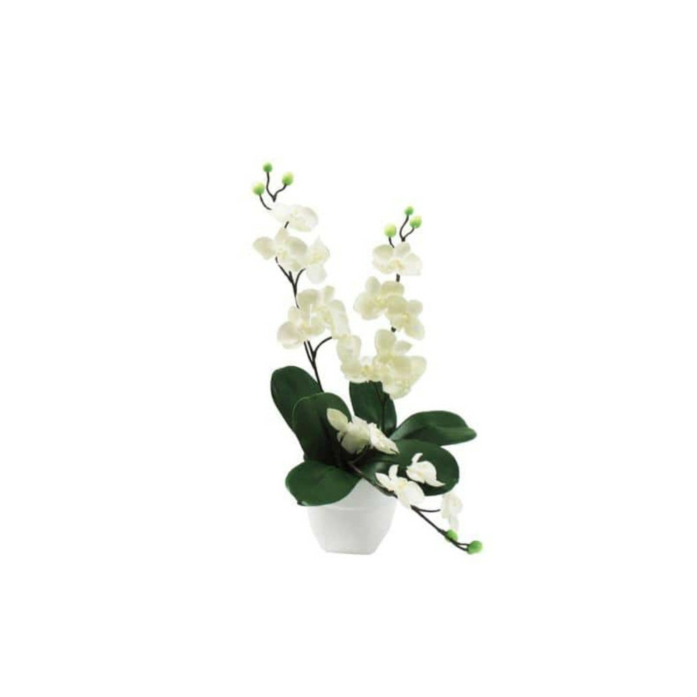 Composition mini orchidée blanche 2 tiges retombées 35cm