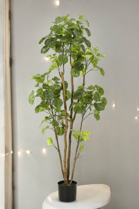 Polyscias aralia plante artificielle - h160cm, ø14cm