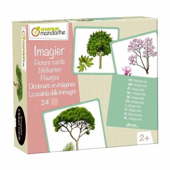 Imagier des arbres
